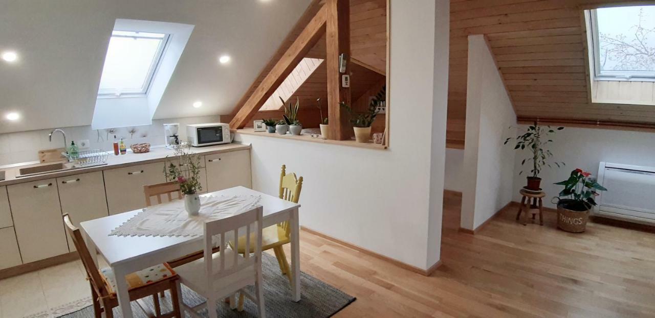 Prenocisca Angelin Hram, Tiny Apartments Markovec Luaran gambar